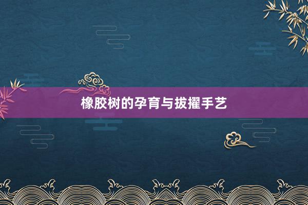 橡胶树的孕育与拔擢手艺